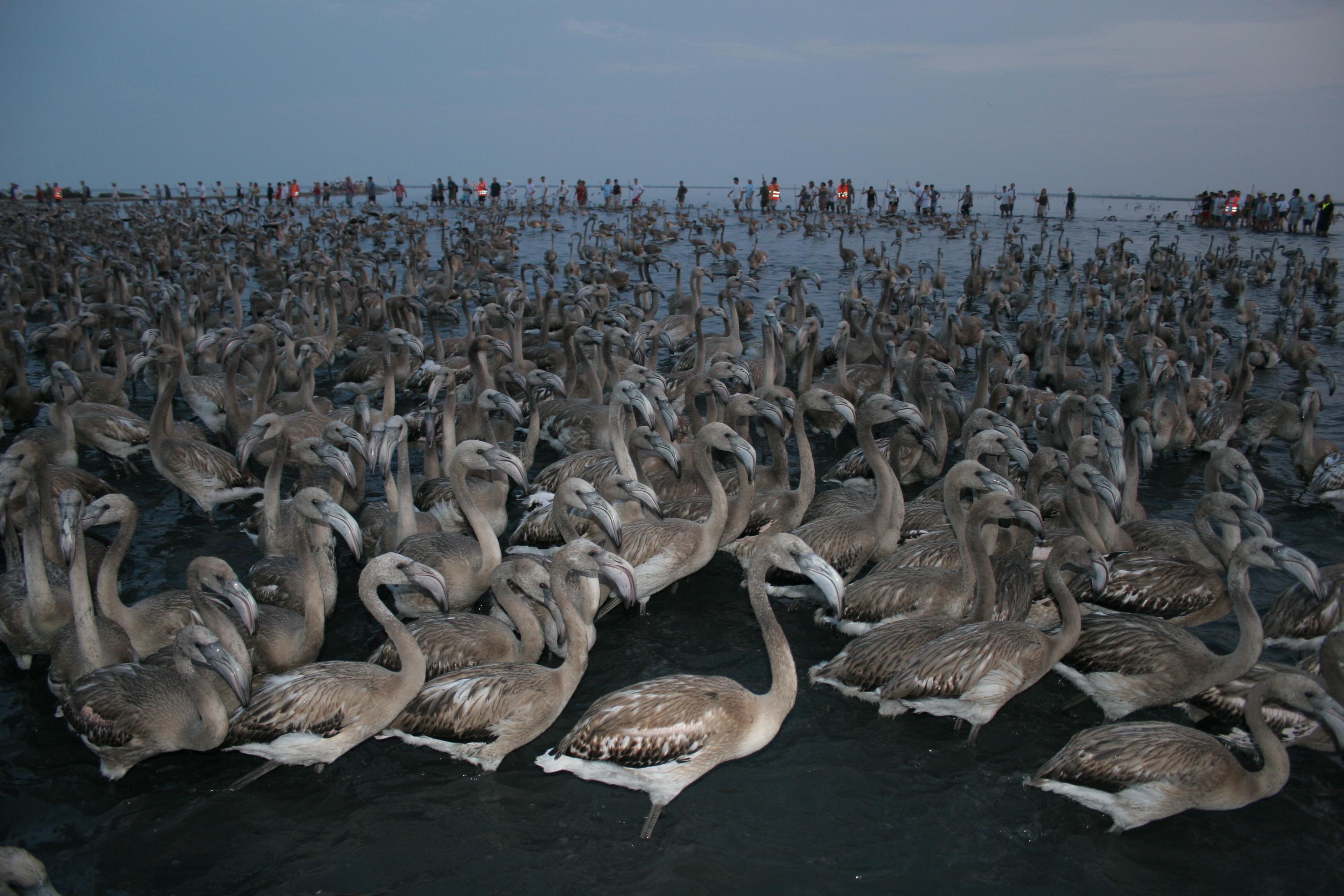 IMG_7654.JPG