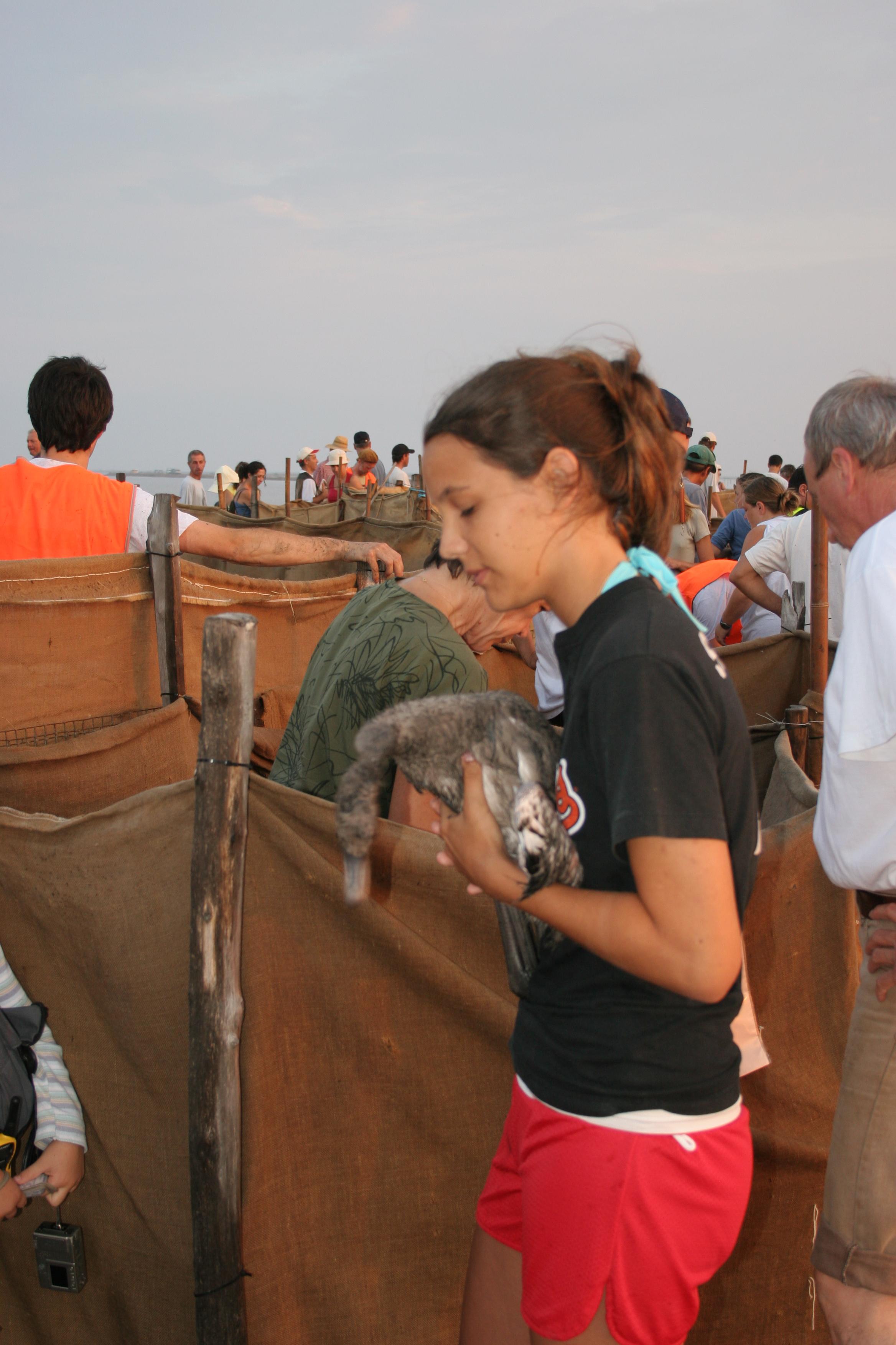 IMG_7728.JPG