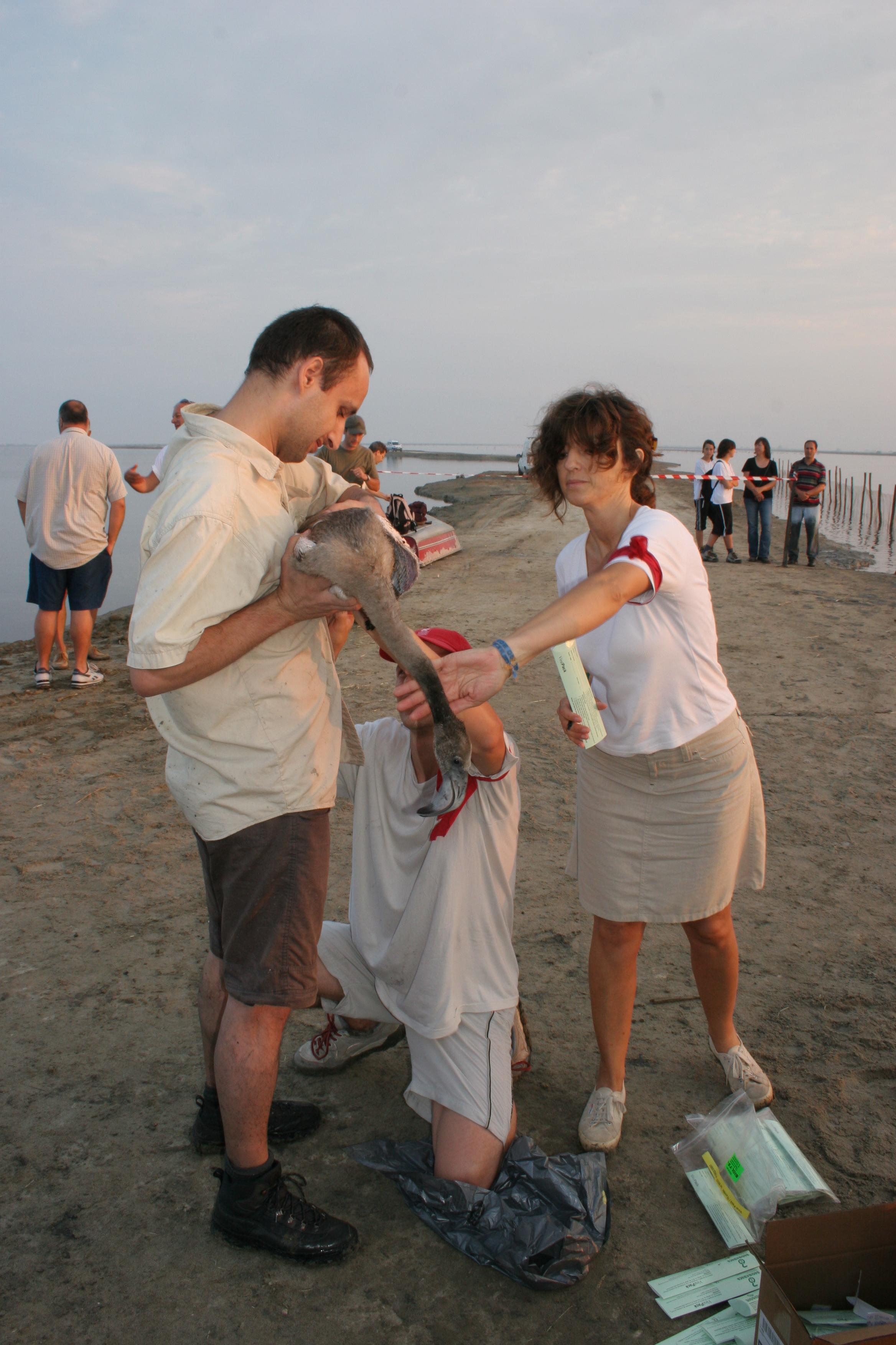 IMG_7799.JPG