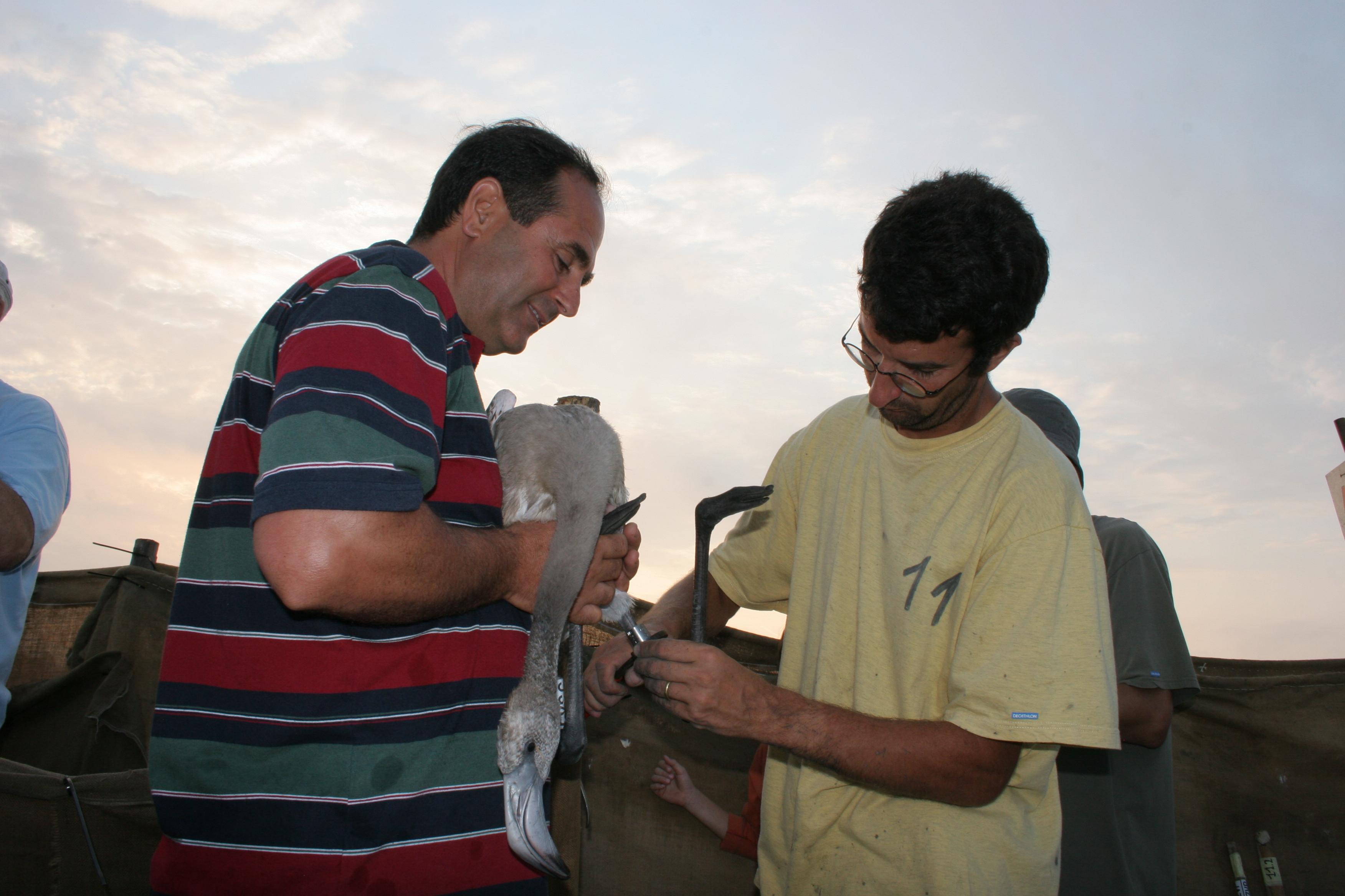 IMG_7853.JPG