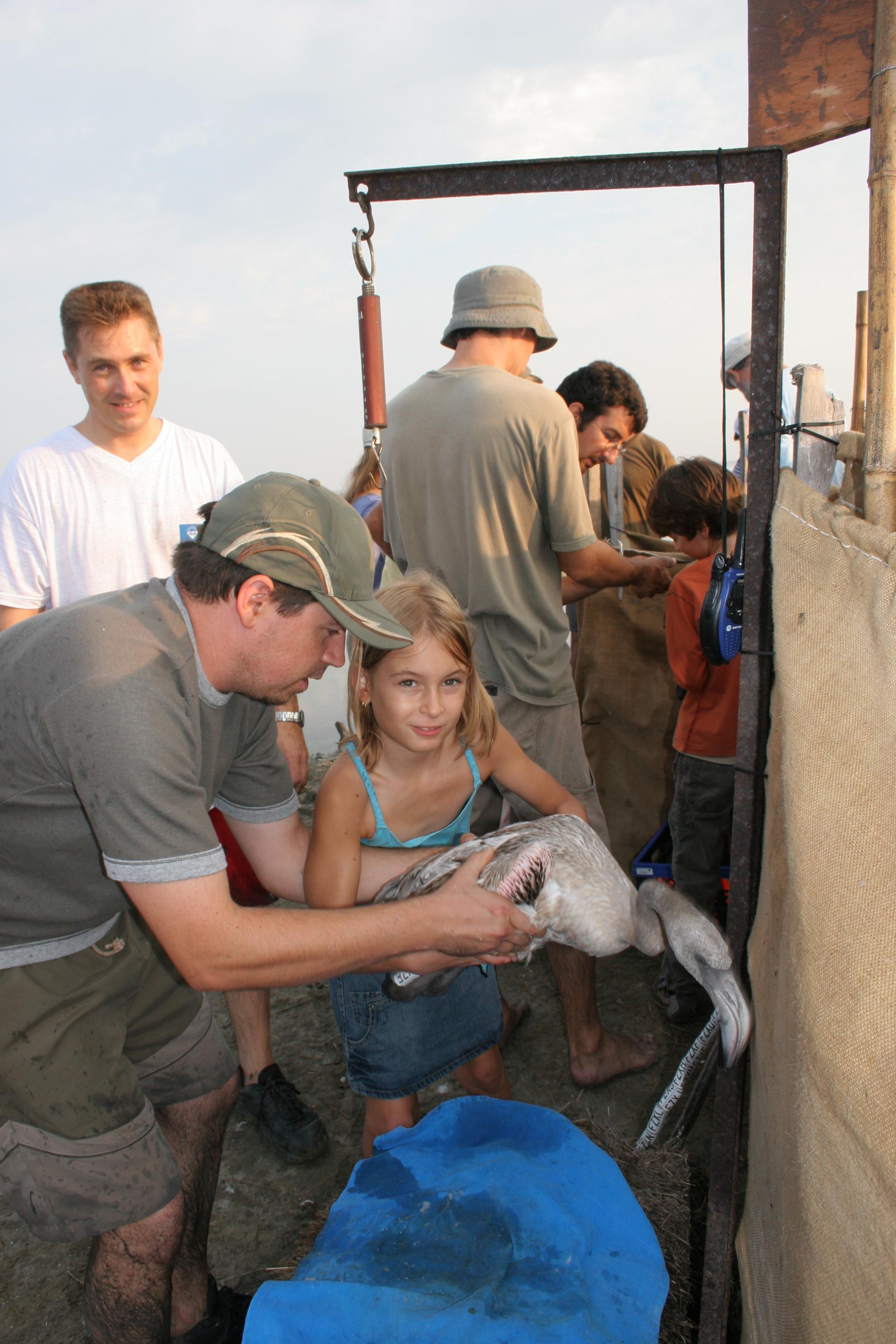 IMG_7948.JPG