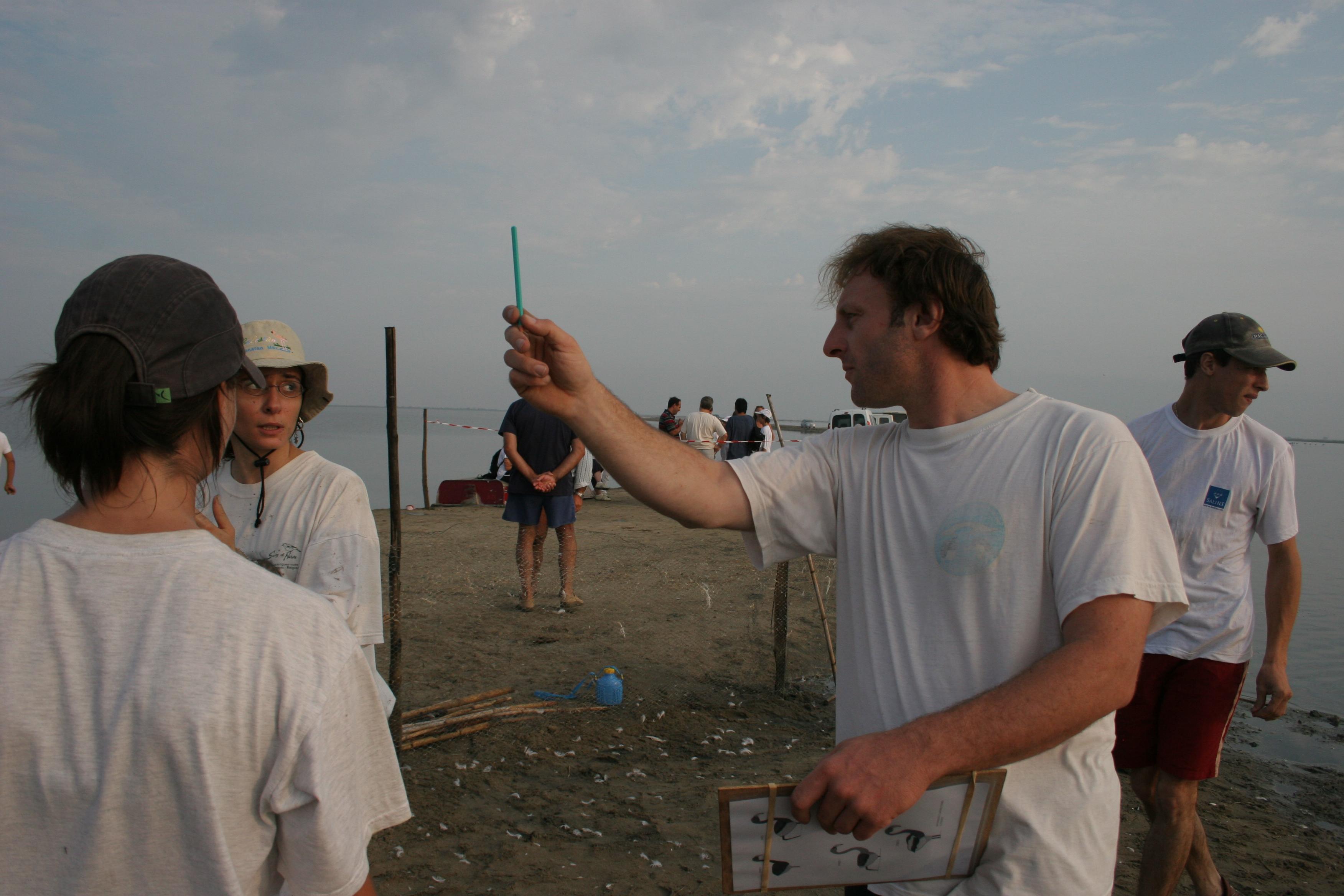IMG_8017.JPG
