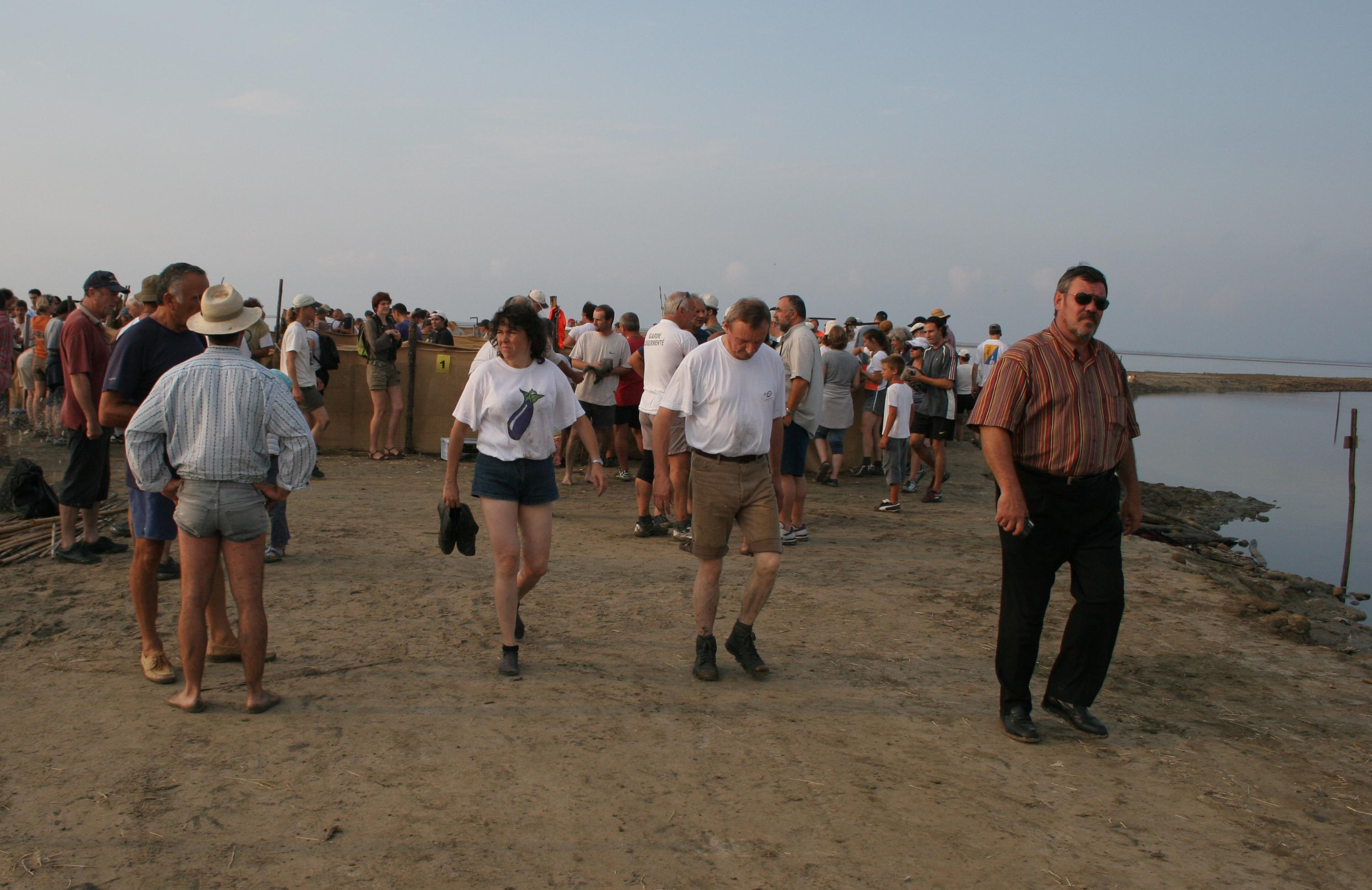 IMG_8018.JPG