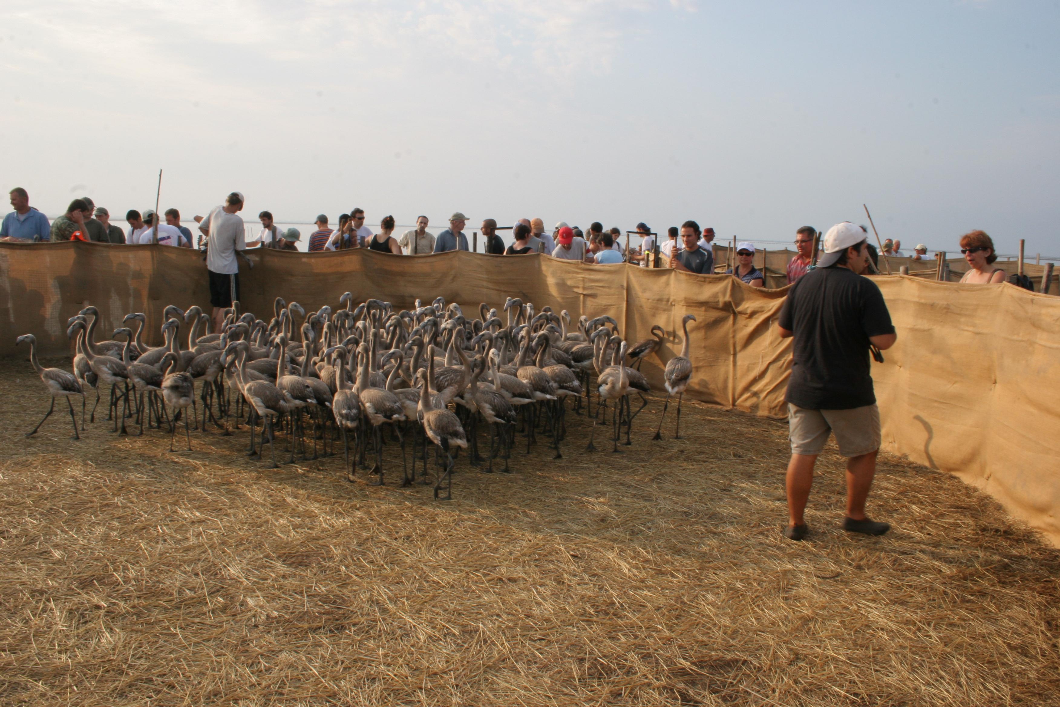 IMG_8052.JPG