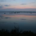 IMG_7562.JPG