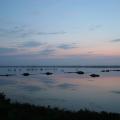 IMG_7563.JPG