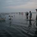 IMG_7630.JPG
