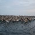 IMG_7642.JPG