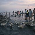 IMG_7661.JPG