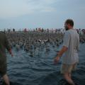 IMG_7672.JPG