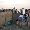IMG_7715.JPG