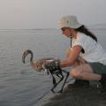 IMG_7783.JPG