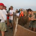IMG_7883.JPG