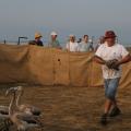 IMG_8059.JPG
