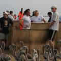 IMG_8060.JPG
