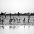 1208081230HH0056.JPG