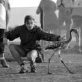 08/08/2012 13:00 - ©2012, Hervé Hôte, Agence Caméléon / Tour du Valat 1208081300HH0108.JPG