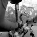 1208081308HH0129.JPG
