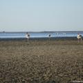 1208081329MM0104.jpg