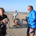 08/08/2012 13:48 - ©2012, Coralie Hermeloup, Tour du Valat 1208081348CHP159.jpg
