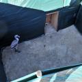 1208081421HH0209.JPG