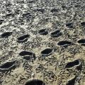 1208081430HH0213.JPG